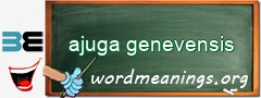 WordMeaning blackboard for ajuga genevensis